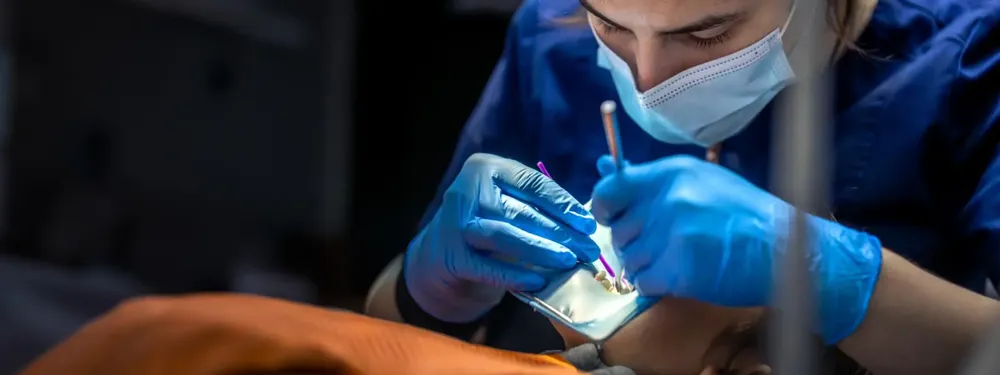 Periodoncia en Planident, Lince